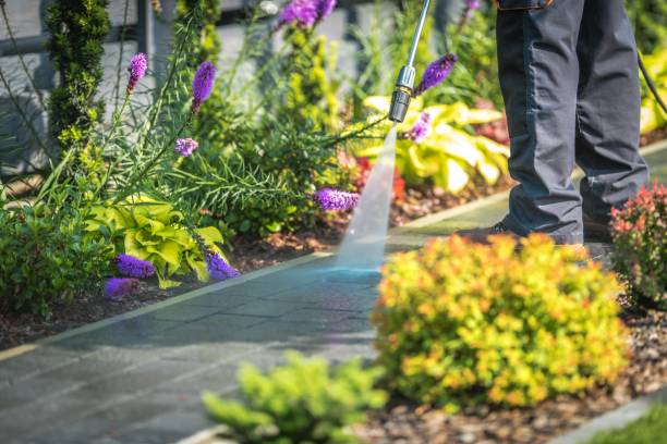Best Gutter Cleaning  in Lawrenceville, GA
