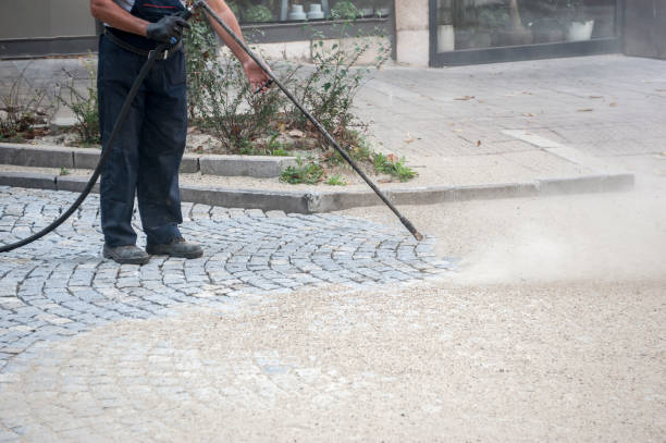 Best Gutter Cleaning  in Lawrenceville, GA